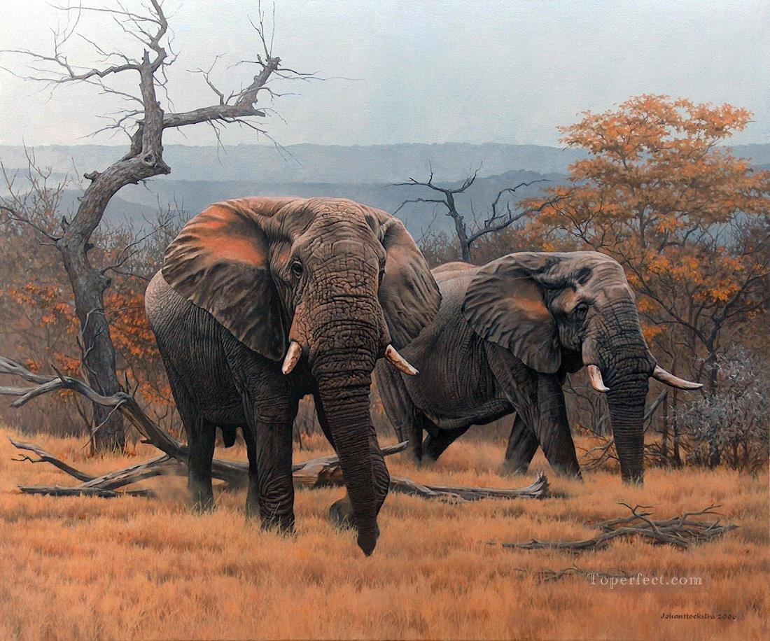 éléphants de savane Peintures à l'huile